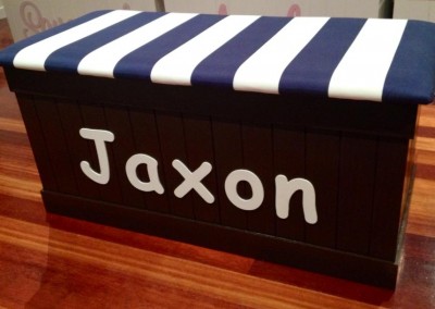 Boys Toy Box 101